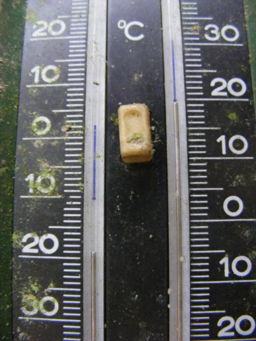 Un thermomètre mini-maxi est indispensable pour connaître les température dans la serre en notre absence.