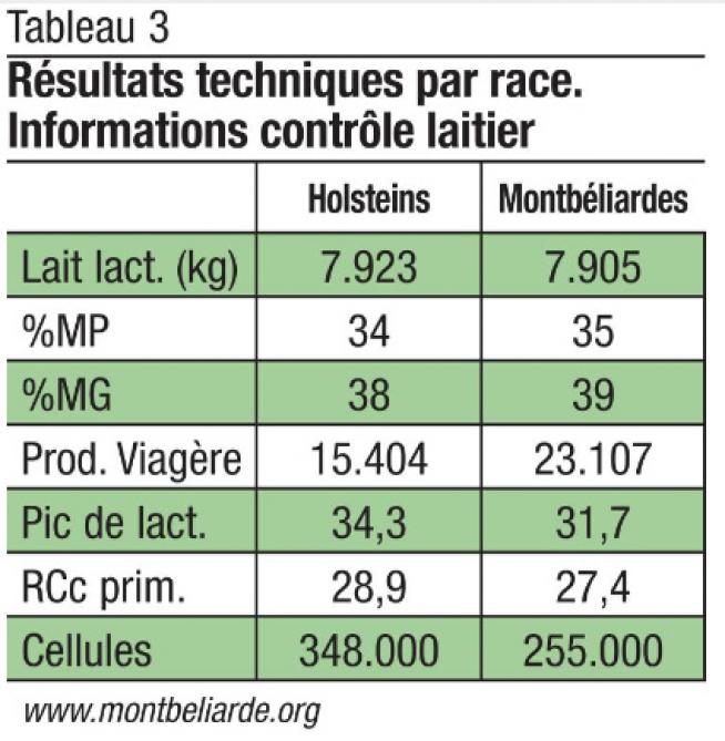 montb3