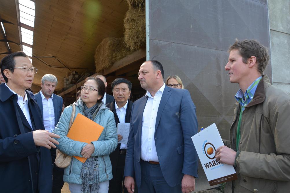 Le ministre chinois (à gauche sur la photo) n’a pas manqué de poser de nombreuses questions à Denis Devillers (à droite): l’absence de cornes des animaux, l’origine de la sélection, mais aussi la rentabilité des différentes productions...