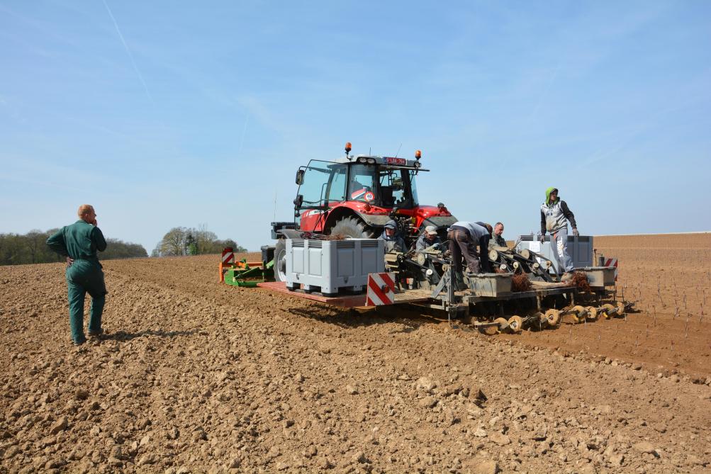 La spécificité de certaines activités, comme ici l’implantation d’une pépinière de fruitiers, fait aussi partie des éléments à prendre en considération.