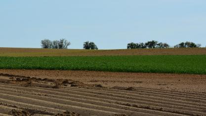 paysage_2