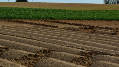 paysage_2 (2)
