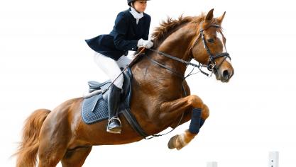 Fotolia_21385042_Subscription_XXL_1404991898