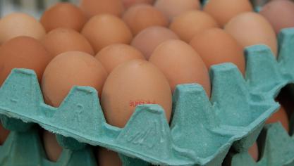 eggs-1887395_1920