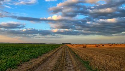 nature-213364_1920