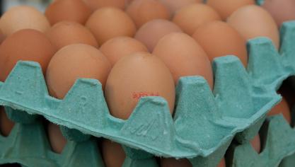 eggs-1887395_1920