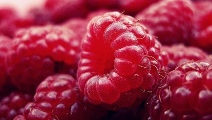raspberry-427390_1920