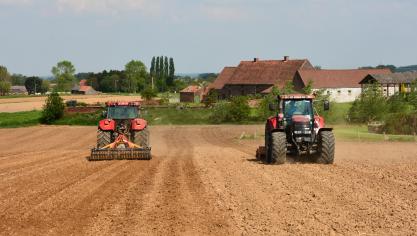 La préparation du sol pour une mise en terre des plants idéale revêt  une importance majeure.