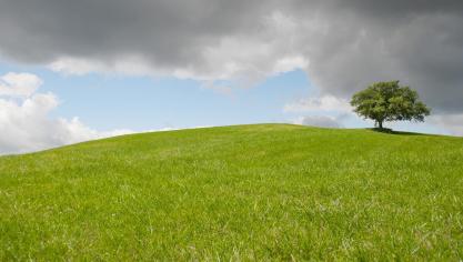 hill-2227666_1920