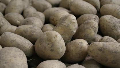 potatoes-965508_1920