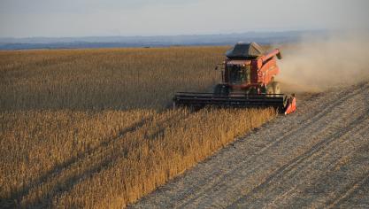 soybeans-1543071_1920