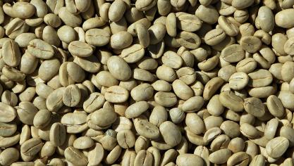 green-coffee-927604_1920