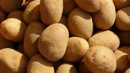 potatoes-5797_1920