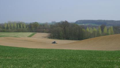 paysage travail sol 22-04-08