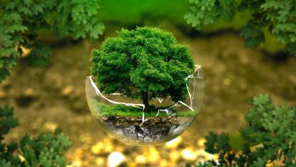 environmental-protection-326923_1920