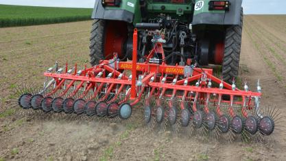 L’agriculture biologique wallonne représente plus de 14
% de la surface agricole de la région.