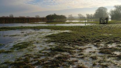 flooded-335635_1920