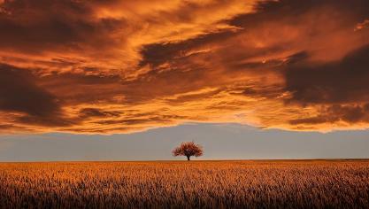 amazing-736875_1280