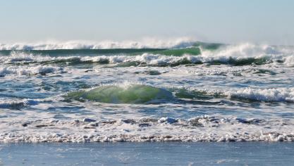 beach-1204401_1920