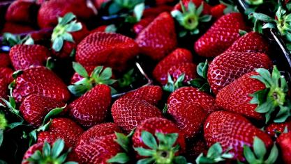 strawberry-629180_1920