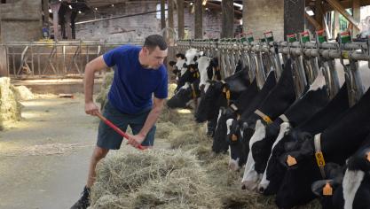 Le couloir d’alimentation assez large permet à Vincent Schyns d’affourager son cheptel pour deux jours.