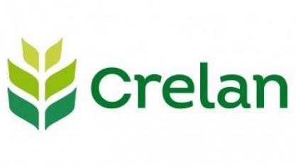 13-crelan