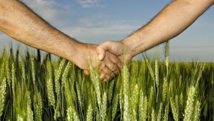 Dès le 1 er  janvier 2018, les entités commerciales Brichart et Lebrun seront regroupées sous l’enseigne Wal.Agri.