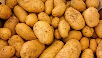 potatoes-411975_1920