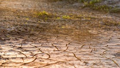 cracked-ground-1844838_1280