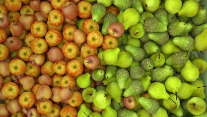 apples-1175230_1920