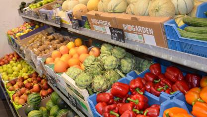 Les supermarchés classiques demeurent le canal le plus important avec 41,5%, suivis des établissements spécialisés (31%).