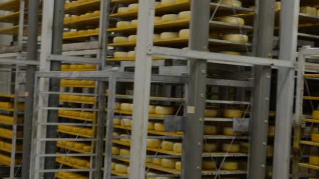 Les fabrications de fromages se sont globalement maintenues en Europe sur la période septembre-octobre.