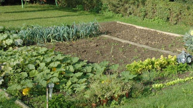 Les firmes phytos répondent aux questions des jardiniers amateurs.