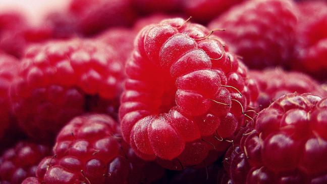 raspberry-427390_1920