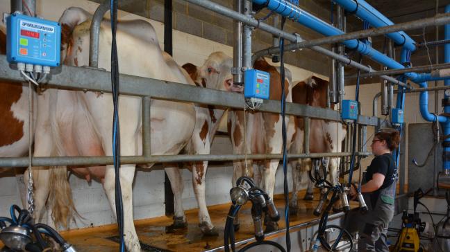 Ensemble, les 3.087 exploitations laitières wallonnes ont livré un peu moins de 1,2
milliard de litres de lait en 2016, soit une production moyenne par éleveurs de 387.354
l.