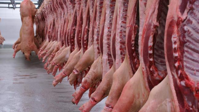 Absorbant plus de la moitié de nos carcasses de porc, l’Allemagne et la Pologne sont deux partenaires commerciaux clés de la Belgique.