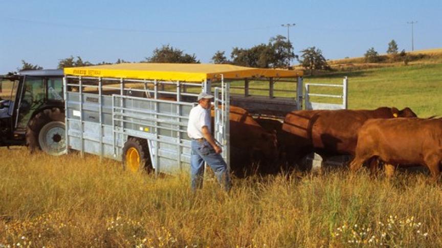 Edition numérique des abonnés