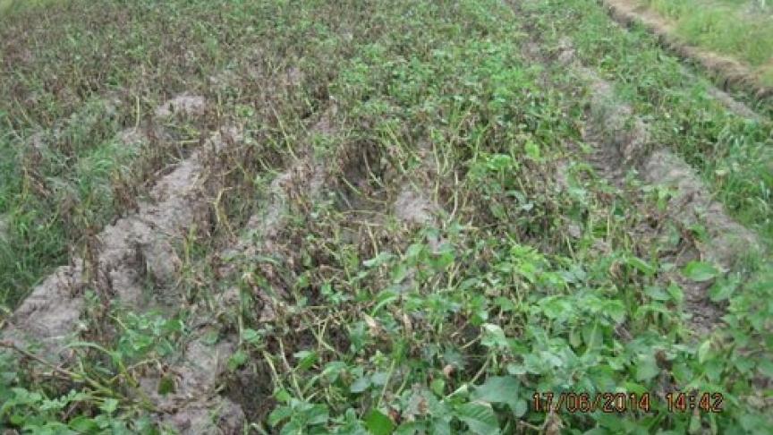 Edition numérique des abonnés