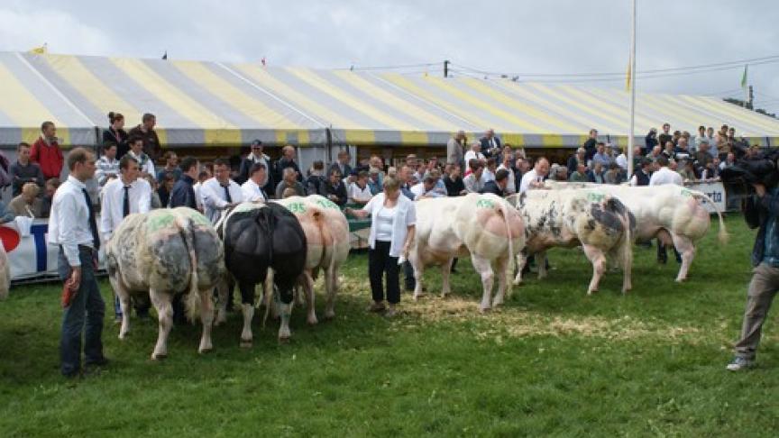 Edition numérique des abonnés