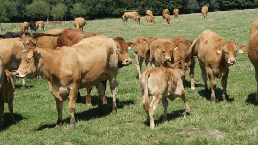 Edition numérique des abonnés