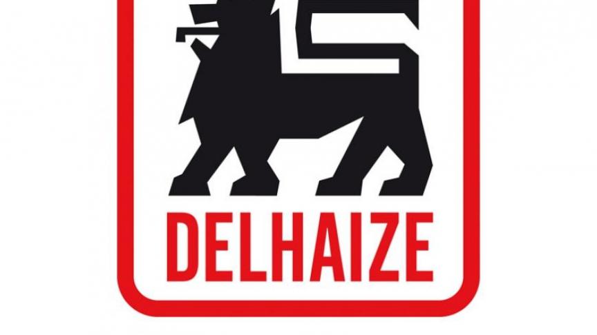 logo_delhaize_67_8