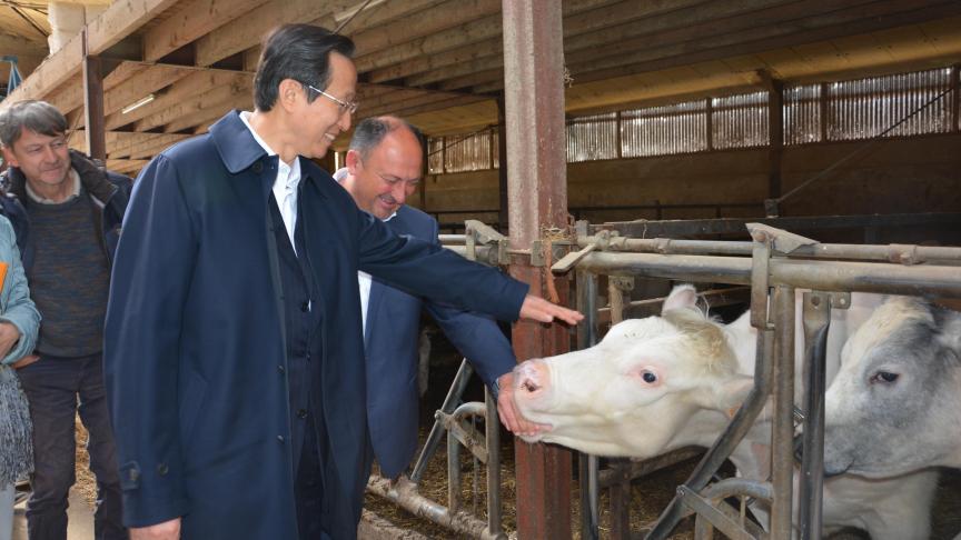 Le «courant» est manifestement bien passé entre Han Changfu, ministre chinois de l’Agriculture, et le bétail BBB. De bon augure pour de futures exportations, semble se réjouir le ministre Borsus.