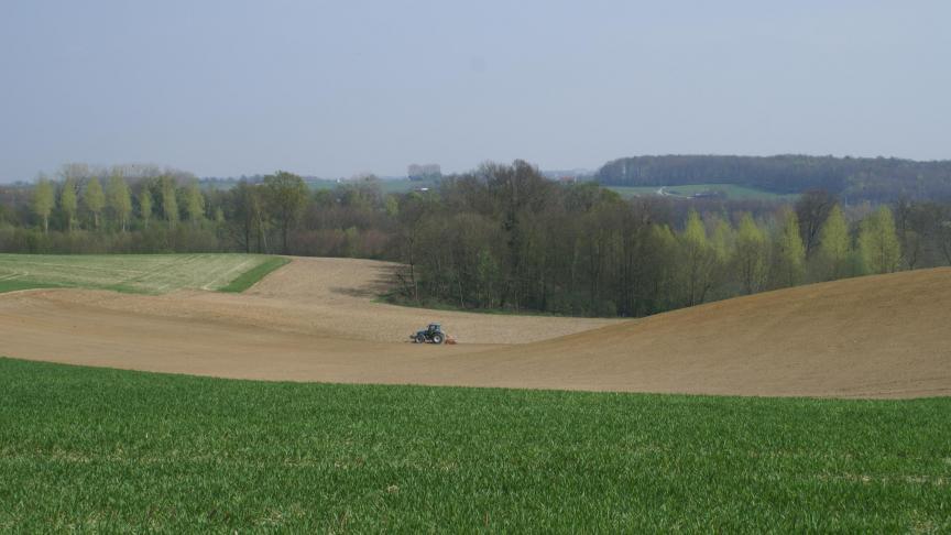 paysage travail sol 22-04-08