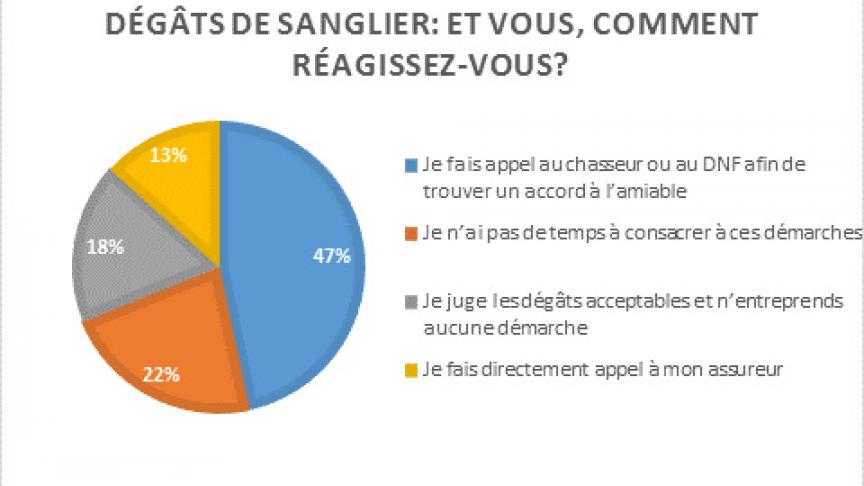 sondage_sanglier