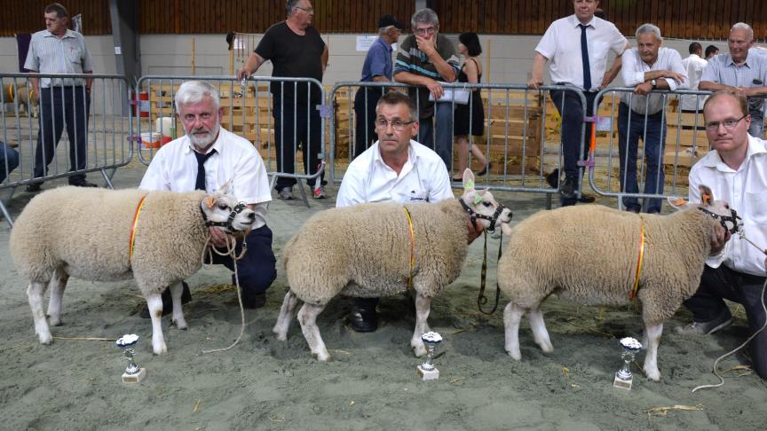Les trois meilleurs agnelles doubles à J.-C. Degauquier, D. Malbecq et D. Miroir.