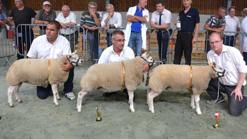 Les trois meilleurs agnelles simples à D. Joret, D. Malbecq et D. Miroir.