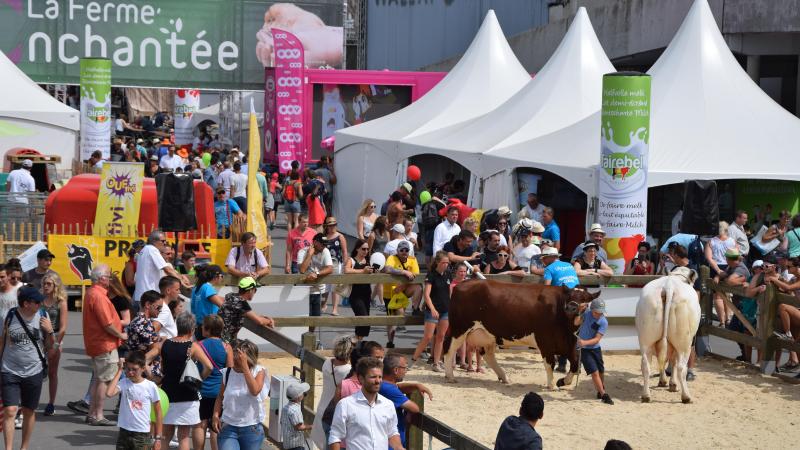 Durant quatre jours in situ et deux jours en forêt de Bertrix (Demo Forest), la foire de Libramont se veut une vitrine exceptionnelle de l’agriculture et de la filière forêt-bois.