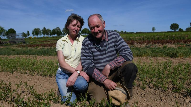 Marc et Edith Gailly Jourdan devant des platebandes de boutures de saule repiquées.