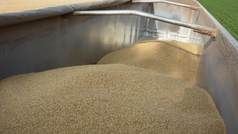 Si les prix du blé accusent un recul de 2,5 %, ceux des céréales, dans leur globalité,  ne connaissent qu’une très faible évolution (+0,1 %).