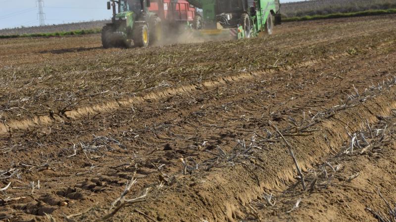 30 ans de suivi du secteur de la pomme de terre pour la Fiwap.